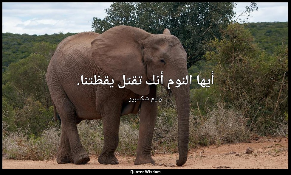 أيها النوم أنك تقتل يقظتنا. — وليم شكسبير