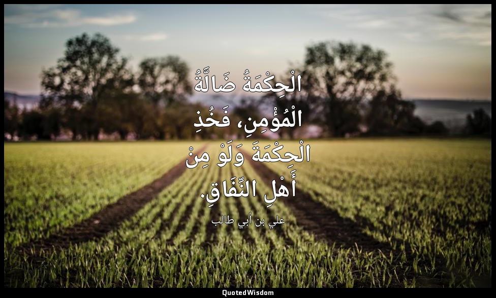 الْحِكْمَةُ ضَالَّةُ الْمُؤْمِنِ، فَخُذِ الْحِكْمَةَ وَلَوْ مِنْ أَهْلِ النِّفَا — علي بن أبي طالب
