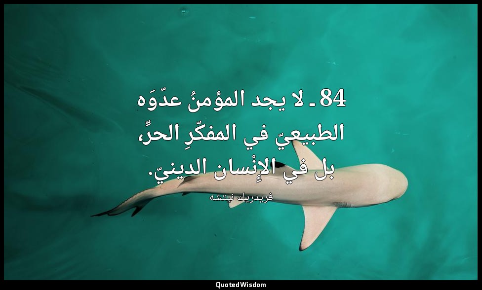 84 ـ لا يجد المؤمنُ عدّوَه الطبيعيّ في المفكّرِ الحرِّ، بل في الإِنْسان الدينيّ. — فريدريك نيتشه