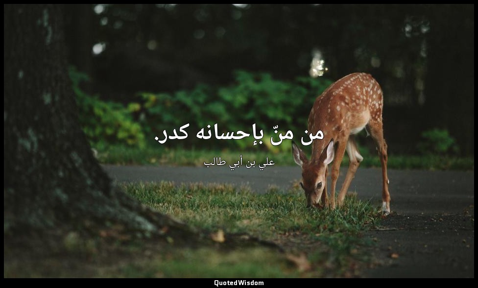 من منّ بإحسانه كدر. — علي بن أبي طالب