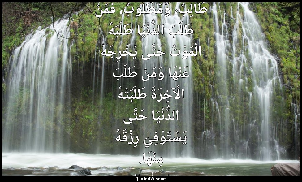 طَالِبٌ، وَمَطْلُوبٌ، فَمَنْ طَلَبَ الدُّنْيَا طَلَبَهُ الْمَوْتُ حَتَّى يُخْرِج — علي بن أبي طالب