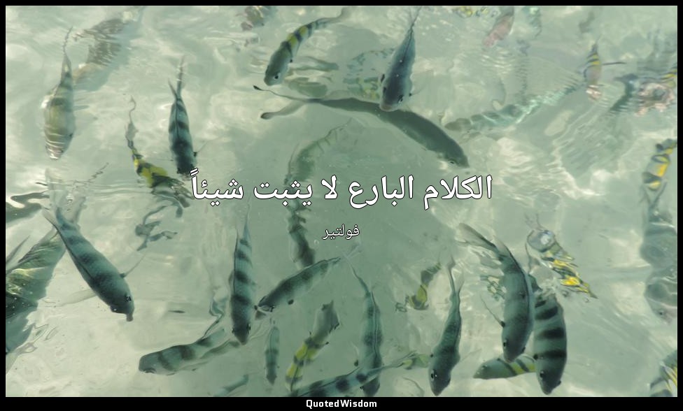 الكلام البارع لا يثبت شيئاً ( دليل على أهمية الجوهر) — فولتير