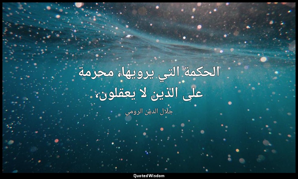 الحكمة التي يرويها، محرمة على الذين لا يعقلون، — جلال الدين الرومي