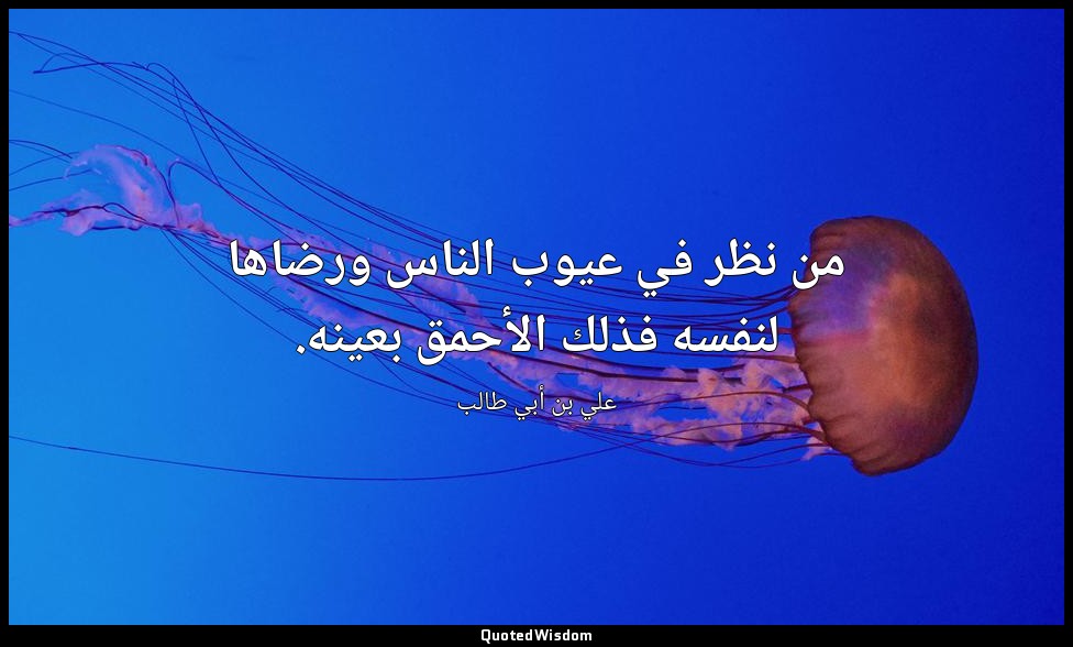 من نظر في عيوب الناس ورضاها لنفسه فذلك الأحمق بعينه. — علي بن أبي طالب