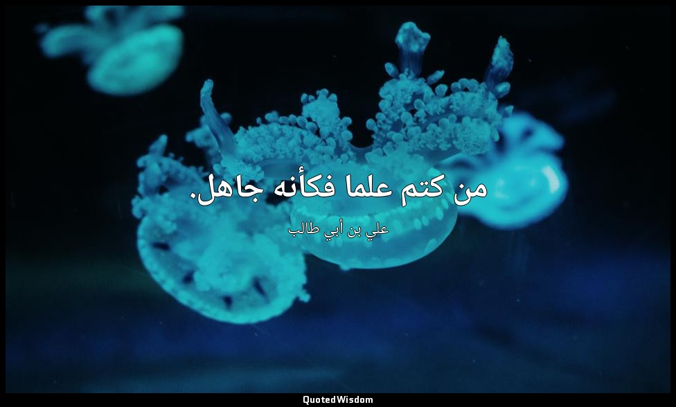 من كتم علما فكأنه جاهل. — علي بن أبي طالب