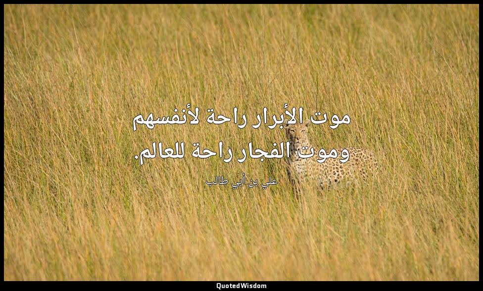 موت الأبرار راحة لأنفسهم وموت الفجار راحة للعالم. — علي بن أبي طالب