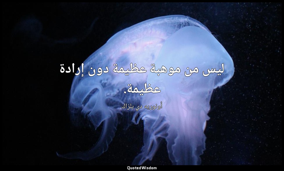 ليس من موهبة عظيمة دون إرادة عظيمة. — أونوريه دي بلزاك