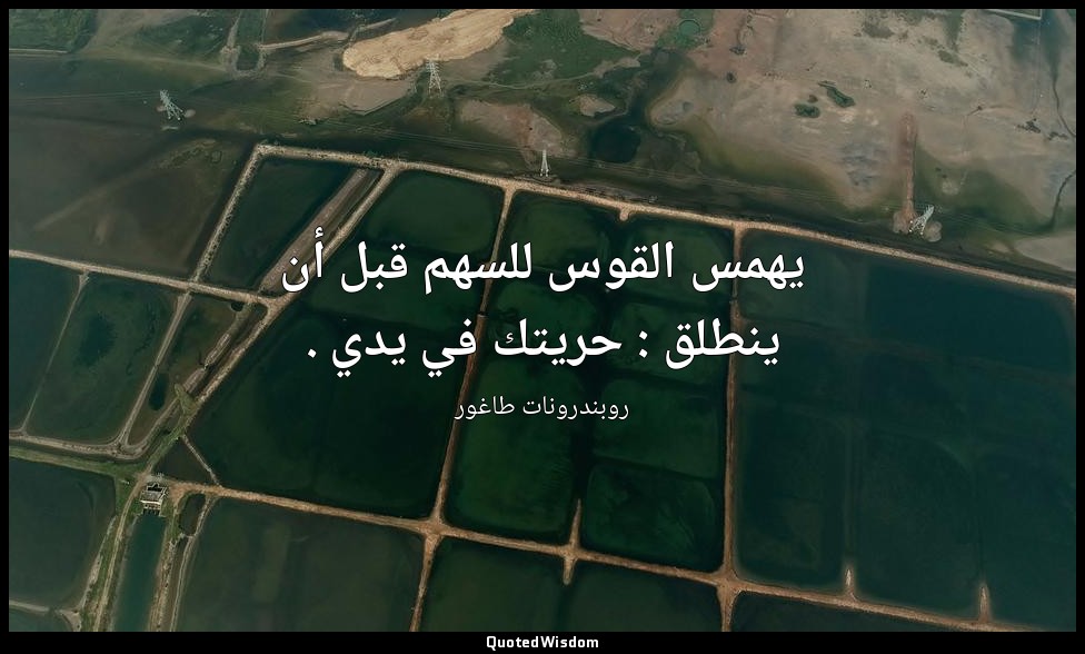 يهمس القوس للسهم قبل أن ينطلق : حريتك في يدي . — روبندرونات طاغور