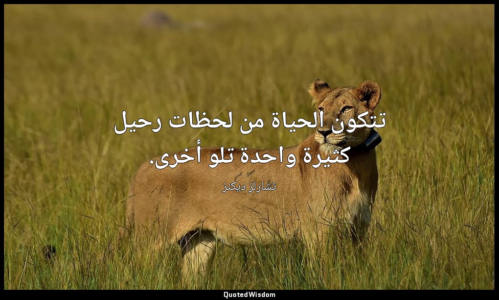 تتكون الحياة من لحظات رحيل كثيرة واحدة تلو أخرى. — تشارلز ديكنز