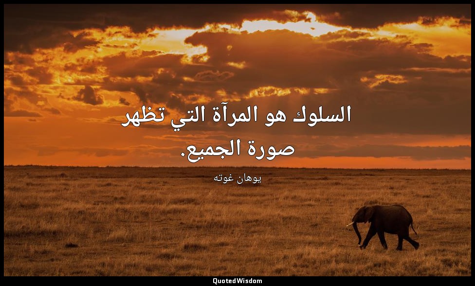 السلوك هو المرآة التي تظهر صورة الجميع. — يوهان غوته