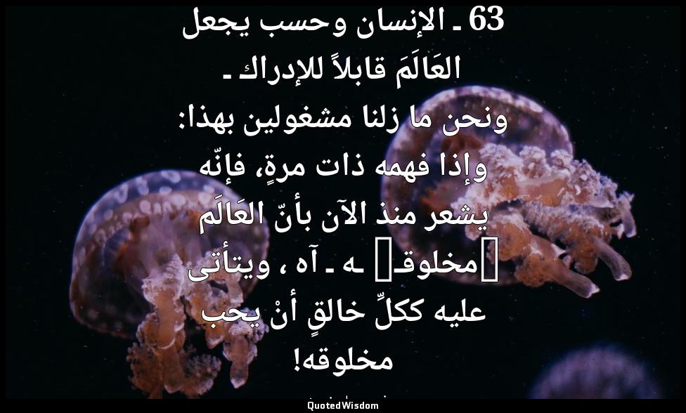 63 ـ الإنسان وحسب يجعل العَالَمَ قابلاً للإدراك ـ ونحن ما زلنا مشغولين بهذا: وإذ — فريدريك نيتشه