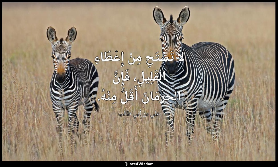 لاَ تَسْتَحِ مِنْ إِعْطَاءِ الْقَلِيلِ، فَإِنَّ الْحِرْمَانَ أَقَلُّ مِنْهُ. — علي بن أبي طالب