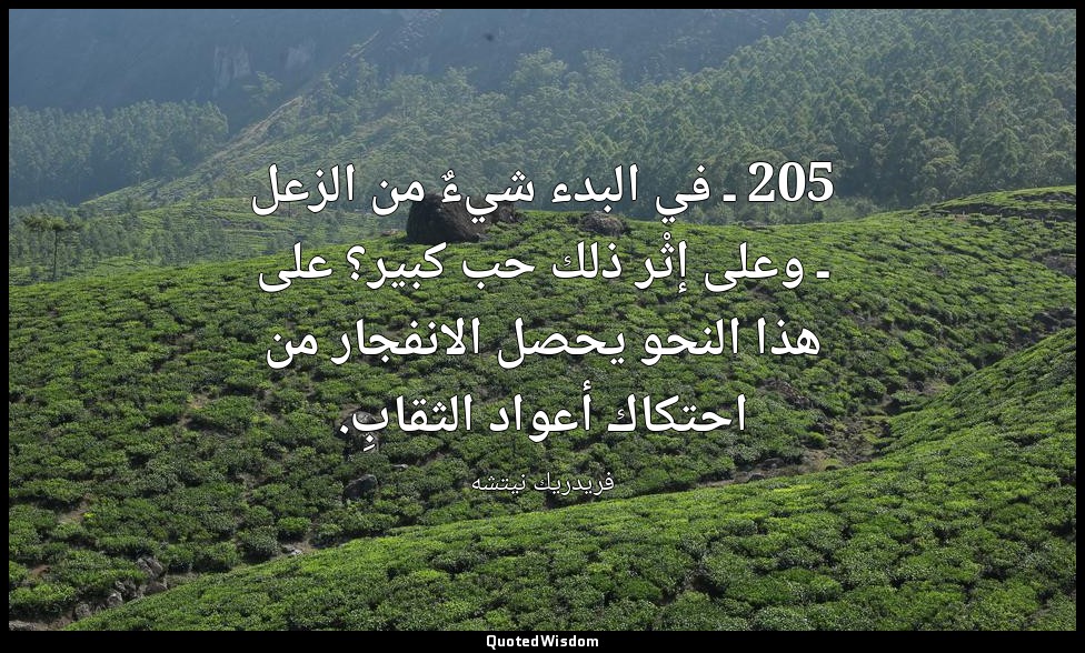 205 ـ في البدء شيءٌ من الزعل ـ وعلى إثْر ذلك حب كبير؟ على هذا النحو يحصل الانفجا — فريدريك نيتشه