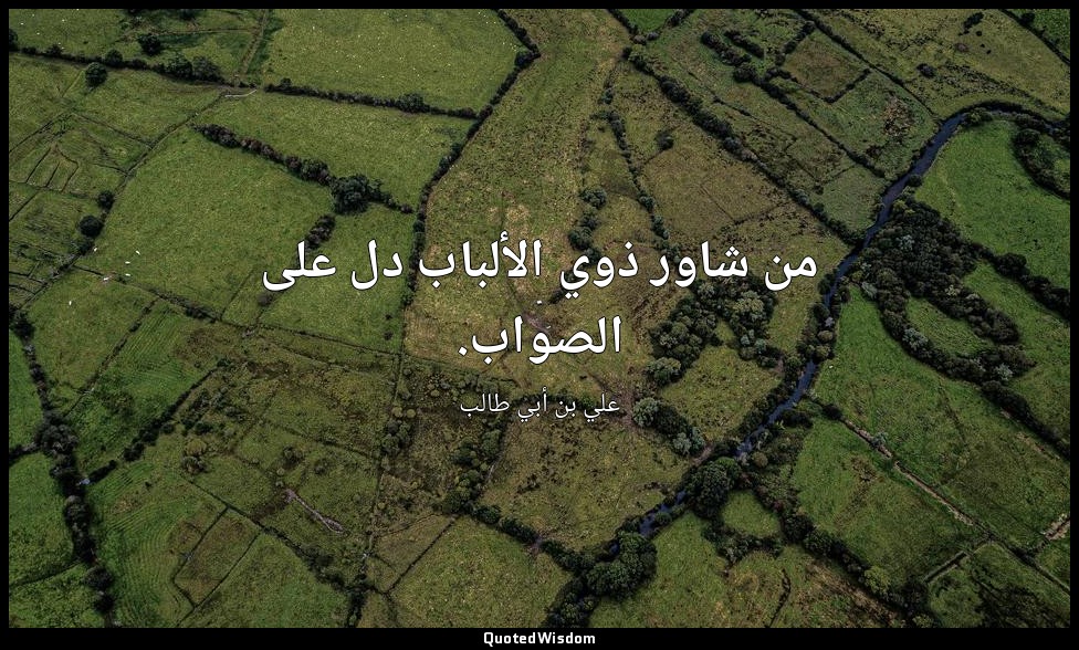 من شاور ذوي الألباب دل على الصواب. — علي بن أبي طالب