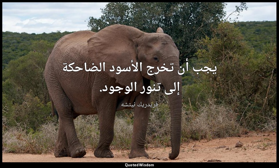 يجب أن تخرج الأسود الضاحكة إلى تنور الوجود. — فريدريك نيتشه