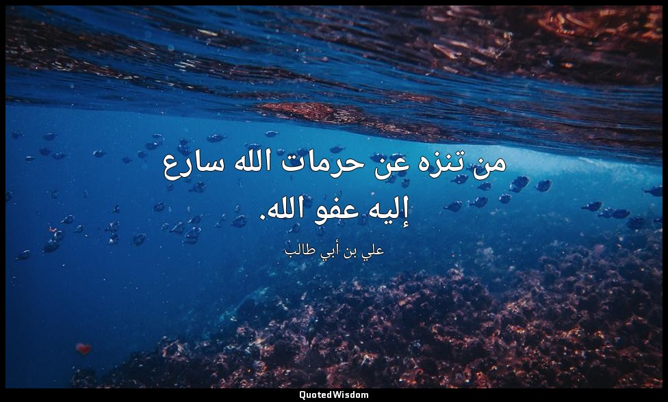من تنزه عن حرمات الله سارع إليه عفو الله. — علي بن أبي طالب