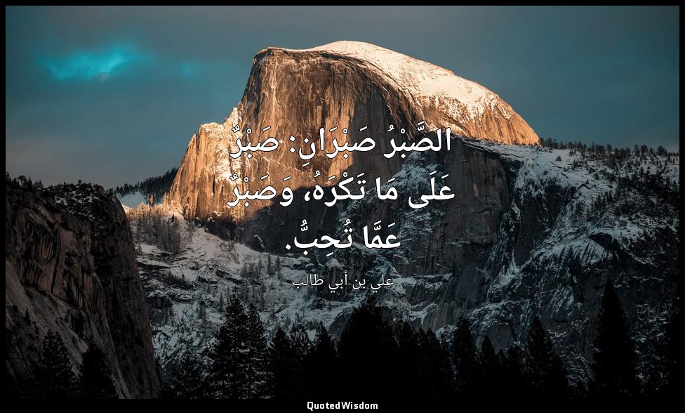 الصَّبْرُ صَبْرَانِ: صَبْرٌ عَلَى مَا تَكْرَهُ، وَصَبْرٌ عَمَّا تُحِبُّ. — علي بن أبي طالب