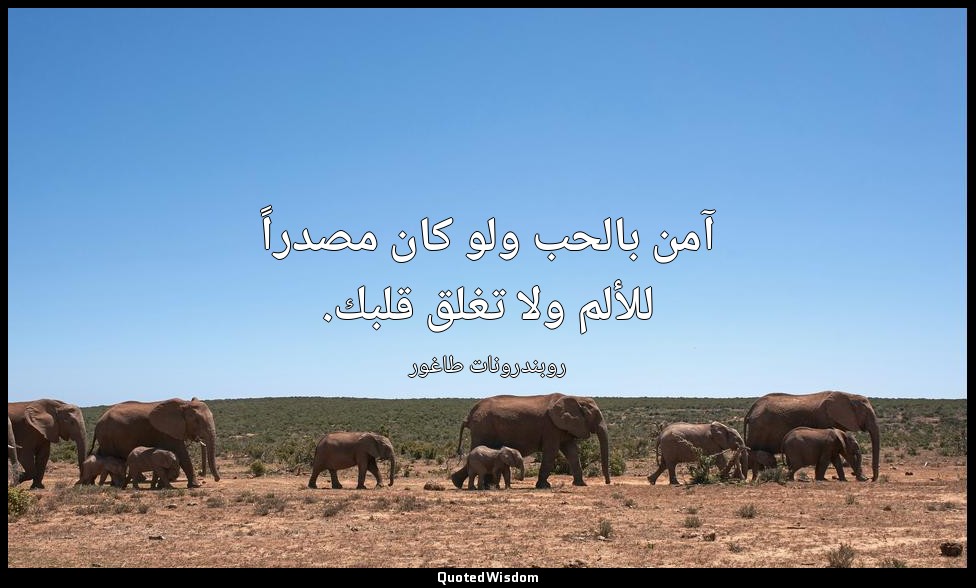آمن بالحب ولو كان مصدراً للألم ولا تغلق قلبك. — روبندرونات طاغور