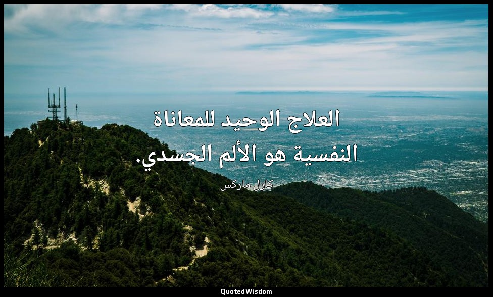 العلاج الوحيد للمعاناة النفسية هو الألم الجسدي. — كارل ماركس