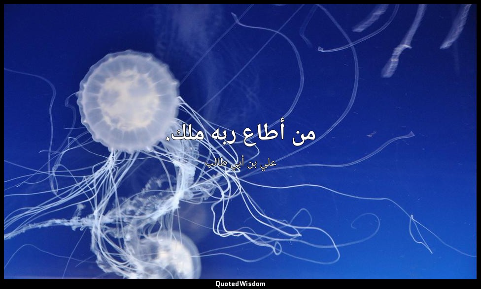 من أطاع ربه ملك. — علي بن أبي طالب