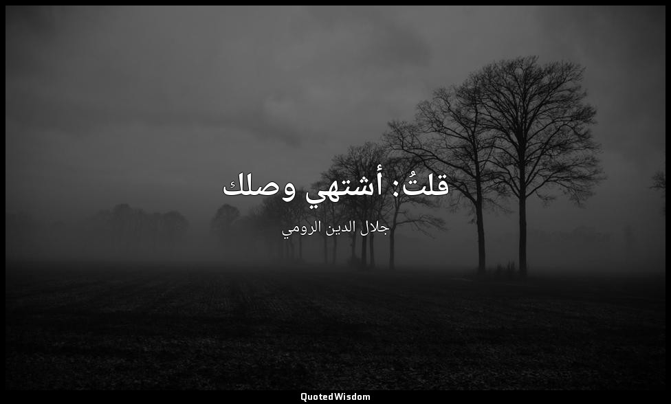 قلتُ: أشتهي وصلك — جلال الدين الرومي