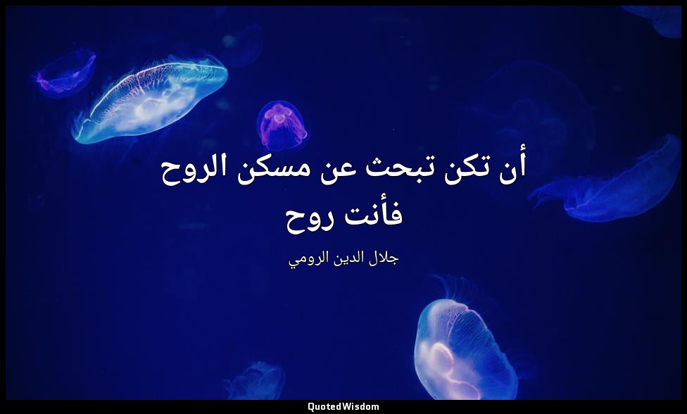 أن تكن تبحث عن مسكن الروح فأنت روح — جلال الدين الرومي