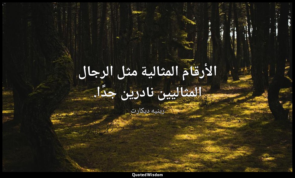 الأرقام المثالية مثل الرجال المثاليين نادرين جدًا. — رينيه ديكارت