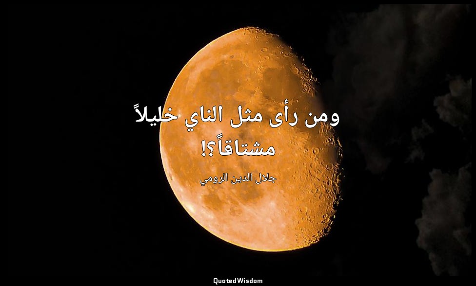 ومن رأى مثل الناي خليلاً مشتاقاً؟! — جلال الدين الرومي