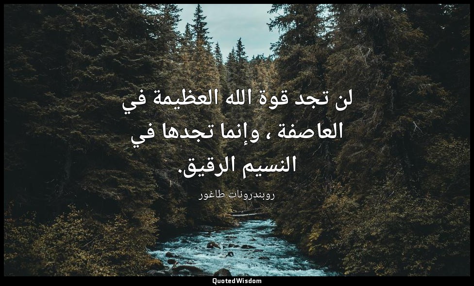 لن تجد قوة الله العظيمة في العاصفة ، وإنما تجدها في النسيم الرقيق. — روبندرونات طاغور
