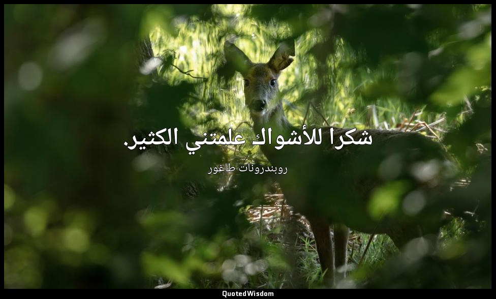 شكرا للأشواك علمتني الكثير. — روبندرونات طاغور