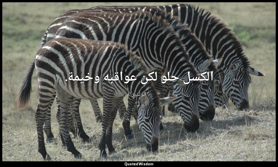 الكسل حلو لكن عواقبه وخيمة. — فولتير