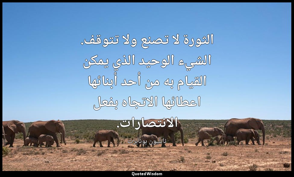 الثورة لا تصنع ولا تتوقف. الشيء الوحيد الذي يمكن القيام به من أحد أبنائها اعطائه — نابليون بونابرت