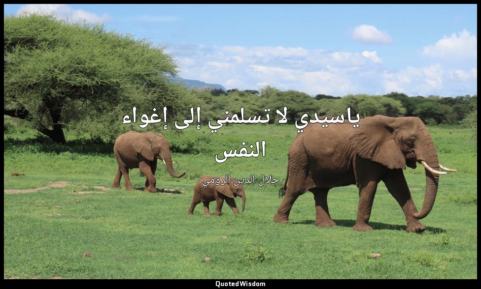 ياسيدي لا تسلمني إلى إغواء النفس — جلال الدين الرومي
