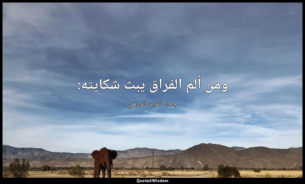 ومن ألم الفراق يبث شكايته: — جلال الدين الرومي