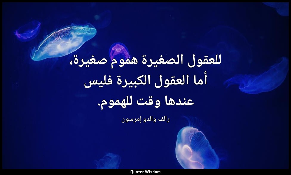 للعقول الصغيرة هموم صغيرة، أما العقول الكبيرة فليس عندها وقت للهموم. — رالف والدو إمرسون