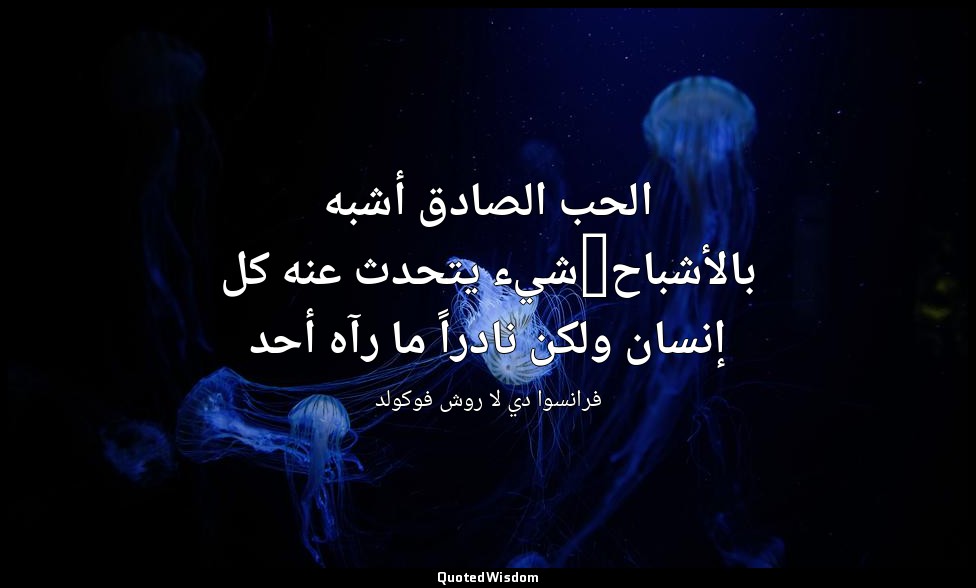 الحب الصادق أشبه بالأشباح-شيء يتحدث عنه كل إنسان ولكن نادراً ما رآه أحد — فرانسوا دي لا روش فوكولد