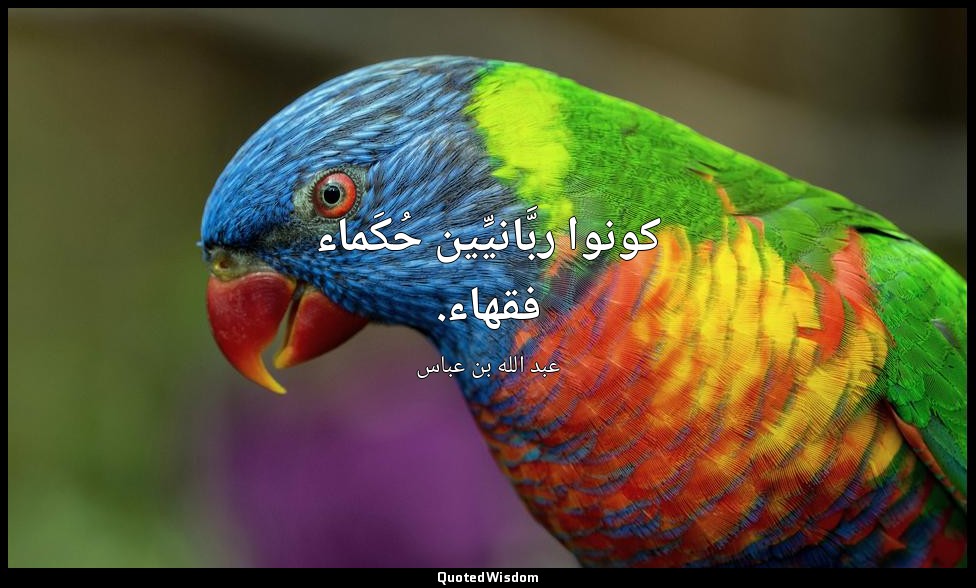 كونوا ربَّانيِّين حُكَماء فقهاء. — عبد الله بن عباس
