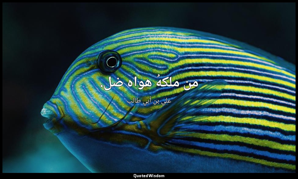 من ملكهُ هواه ضل. — علي بن أبي طالب
