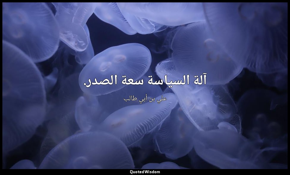 آلة السياسة سعة الصدر. — علي بن أبي طالب