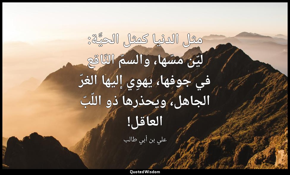 مثل الدنيا كمثل الحيَّة: ليّن مسّها، والسمّ النّاقع في جوفها، يهوِي إليها الغرّ  — علي بن أبي طالب