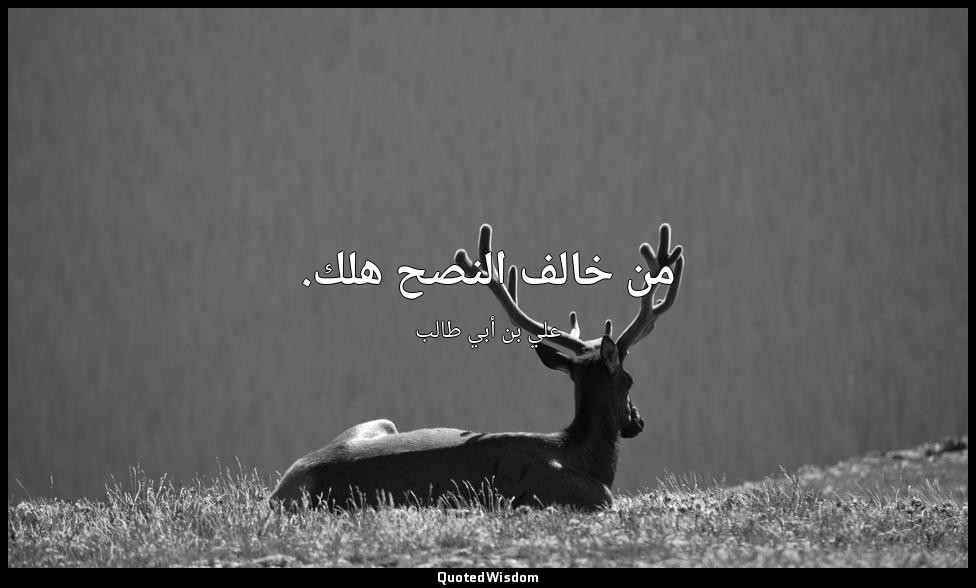 من خالف النصح هلك. — علي بن أبي طالب