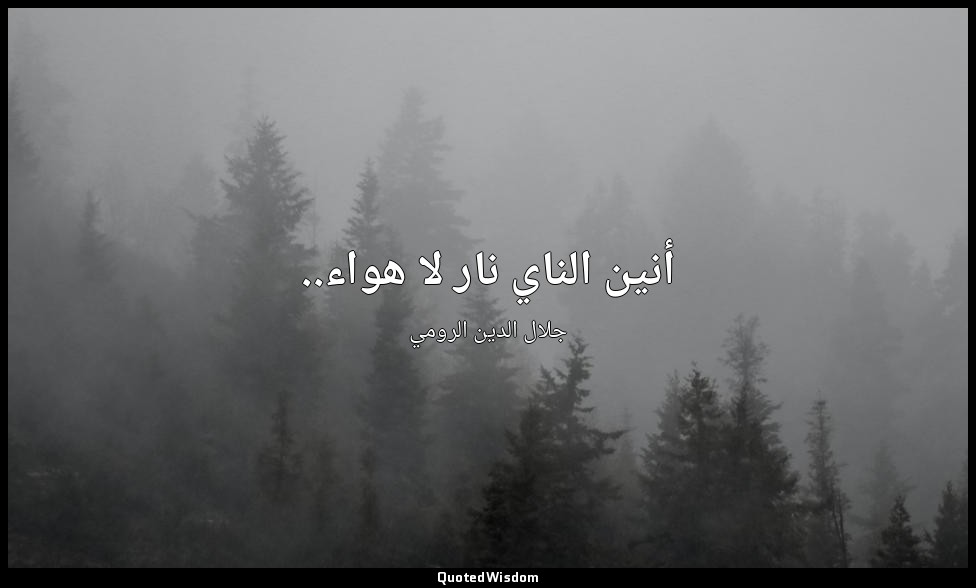 أنين الناي نار لا هواء.. — جلال الدين الرومي