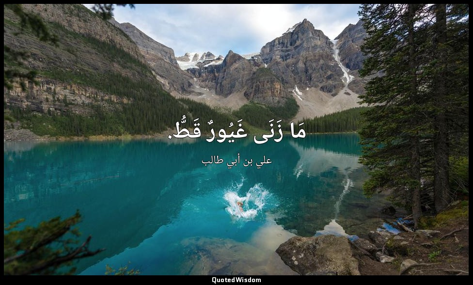مَا زَنَى غَيُورٌ قَطُّ. — علي بن أبي طالب
