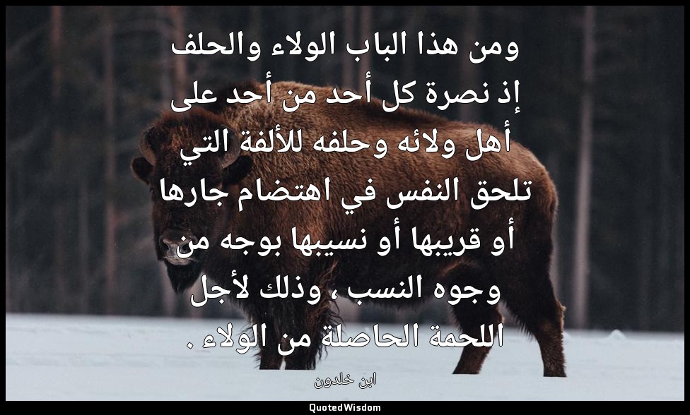 ومن هذا الباب الولاء والحلف إذ نصرة كل أحد من أحد على أهل ولائه وحلفه للألفة الت — ابن خلدون