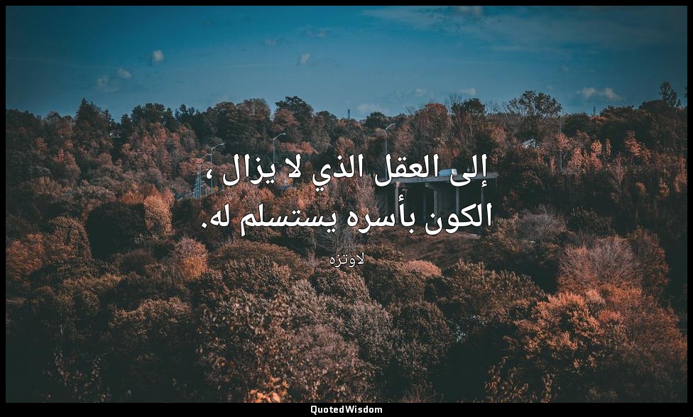 إلى العقل الذي لا يزال ، الكون بأسره يستسلم له. — لاوتزه
