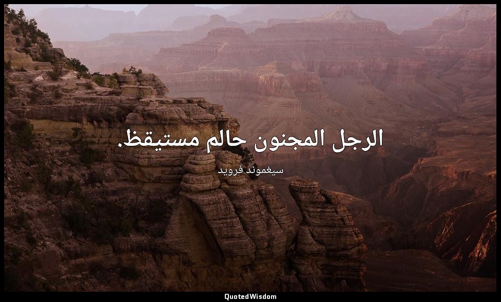الرجل المجنون حالم مستيقظ. — سيغموند فرويد