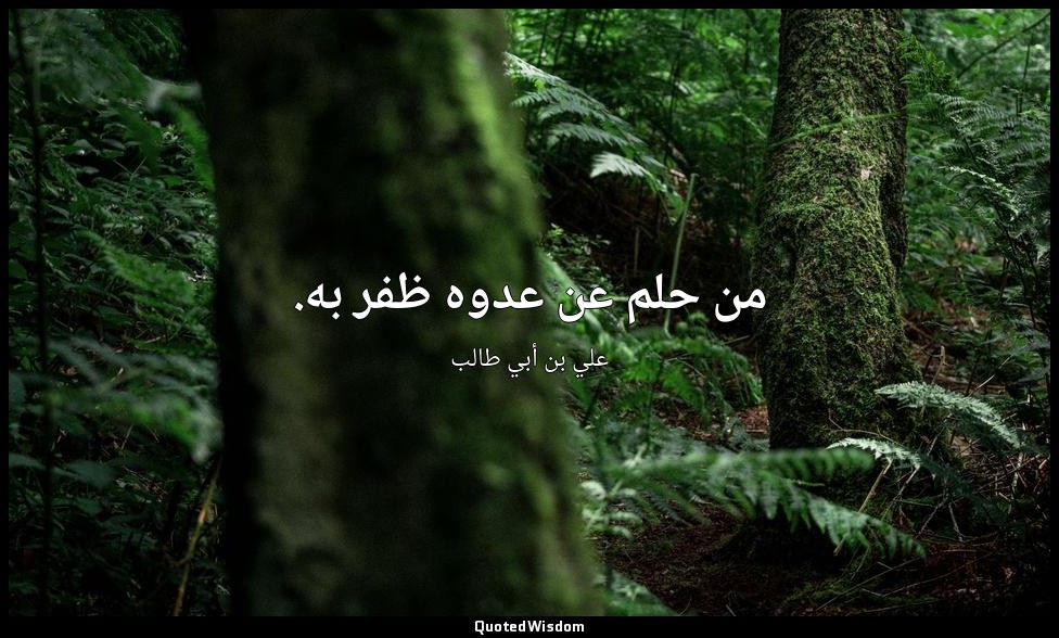 من حلم عن عدوه ظفر به. — علي بن أبي طالب