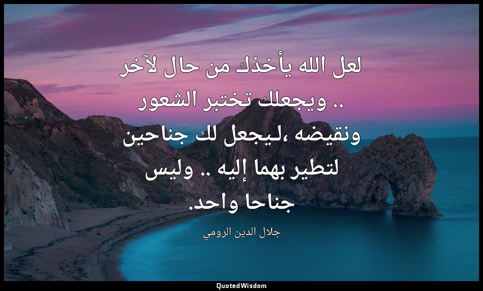 لعل الله يأخذك من حال لآخر .. ويجعلك تختبر الشعور ونقيضه ،لـيجعل لك جناحين لتطير — جلال الدين الرومي