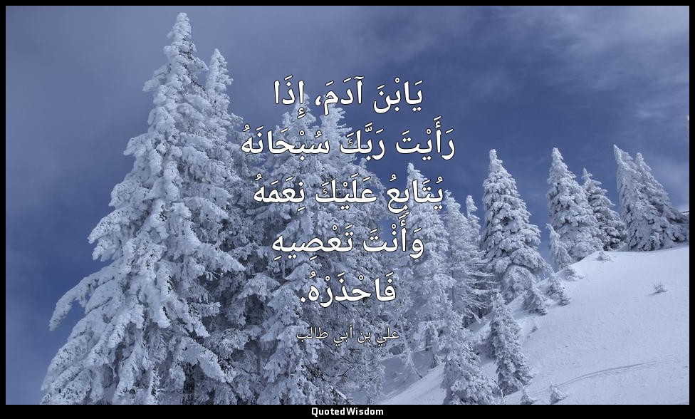 يَابْنَ آدَمَ، إِذَا رَأَيْتَ رَبَّكَ سُبْحَانَهُ يُتَابِعُ عَلَيْكَ نِعَمَهُ وَ — علي بن أبي طالب