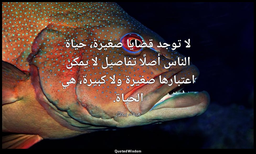 لا توجد قضايا صغيرة، حياة الناس أصلًا تفاصيل لا يمكن اعتبارها صغيرة ولا كبيرة، ه — هيفاء بيطار